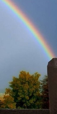 Sims 3 — RainbowBird1 by Rennara — part 1 of 2