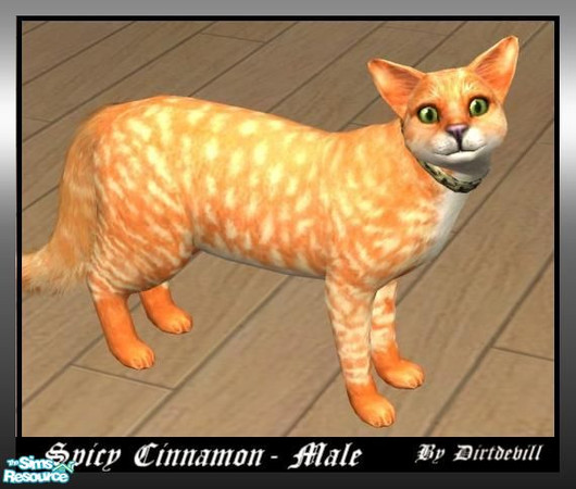 Sims 2 — Spicy Cinnamon Cat by Dirtdevill — Long time ago, Cinnanmon cats were discovered by the crew of the Flying