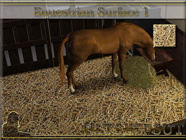 Sims 3 — Equestrian Surface 1 by hatshepsut — Bedding material for horses