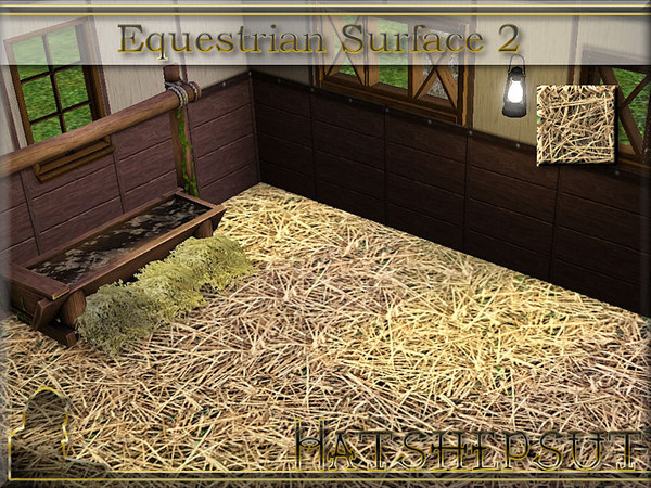 Sims 3 — Equestrian Surface 2 by hatshepsut — Course straw bedding for horses