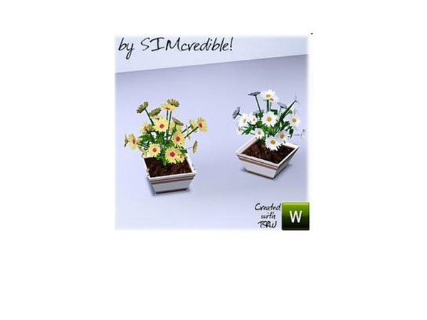 Sims 3 — Jacques Daisies by SIMcredible! — by SIMcredibledesigns.com available at TSR