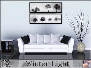 Sims 3 — Winter Light by ziggy28 — Two wonderful pictures by Ilona Wellmann. Recolourable frame. One file two pictures