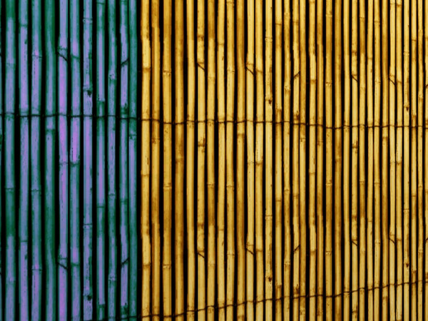 Sims 3 — Bamboo1 by viLana2 — My bamboo))) for...