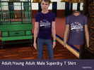 Sims 3 — Superdry T Shirt - Male by sapphiress — This is Superdry's vintage entry men's t shirt seen here -