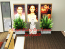 Sims 3 — Twilight Breaking Dawn Collection by liyah225 — Twilight Breaking Dawn Collection.. Get this collection for your