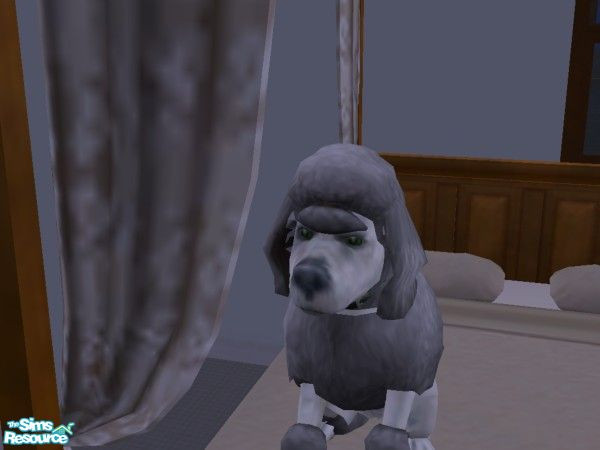Sims 2 — Mr Tips by hacc2258 — A husband, for Miss Ann or whatever you choose,Enjoy.
