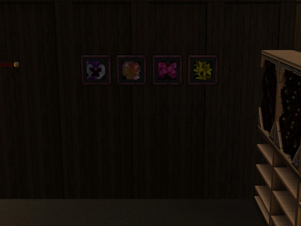 Sims 3 — Flower Paintings by Silerna — No Description