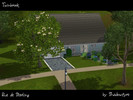 Sims 3 — Rue De Sterling Bungalow by shadowfyre — An artisans house situated on Rue de Sterling in Twinbrook. This quaint