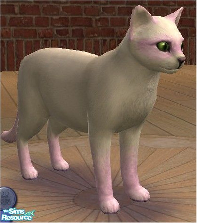 Sims 2 — Pink Bandit Cat by melinorn — Part of my Bandit Cat Series. Requires unlockables bandit cat pattern and furs. 