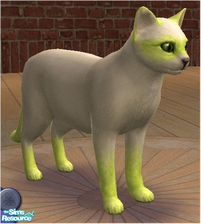Sims 2 — Neon Green Bandit Cat by melinorn — Part of my Bandit Cat Series. Requires unlockables bandit cat pattern and