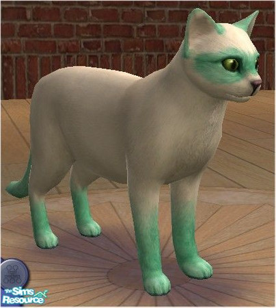 Sims 2 — Light Green Bandit Cat by melinorn — Part of my Bandit Cat Series. Requires unlockables bandit cat pattern and