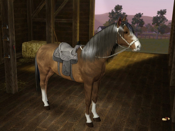 Sims 3 — Rafinesse by Soucii — Female Horse - Andalusian