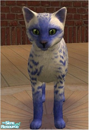 Sims 2 — Blue Flame by melinorn — Part of my flame series. Requires unlockable furs for cats.
