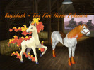 Sims 3 — Rapidash - Pokemon by are-hime2 — A Wild Rapidash, if you are a trainer, you have to know this: The Rapidash are