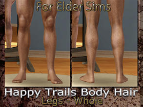 Sims 3 — Happy Trails Body Hair - Legs-Whole-Elder by terriecason — 