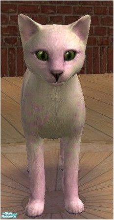 Sims 2 — Pink Flame by melinorn — Part of my \"Flame\" series of cats. Requires pink fur for cats unlockables. 