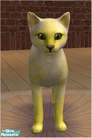 Sims 2 — Yellow Flame by melinorn — Part of my \"Flame\" series of cats. Reqires yellow fur for cats