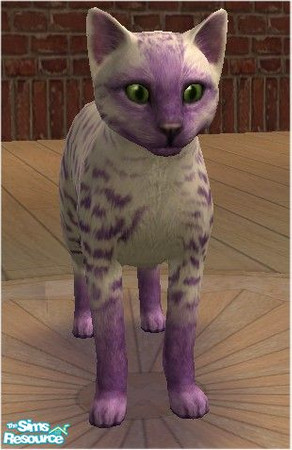 Sims 2 — Purple Flame by melinorn — Part of my \"Flame\" series. Look for it\'s sibblings, White Flame, Black