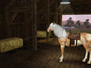 Sims 3 — Dakota by x0shannon0x2 — female adult paint horse. 