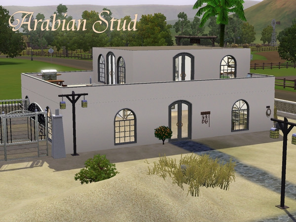 Sims 3 — Arabian Stud by Dragday2 — The main function of this lot is breeding horses and train them. You have enough room