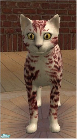 Sims 2 — White Flame by melinorn — A cute kitty to own and breed with. It\'s got a sibbling called Black Flame. If you