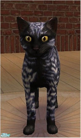 Sims 2 — Black Flame by melinorn — A cute kitty to own and breed with. It\'s got a sibbling called White Flame. If you