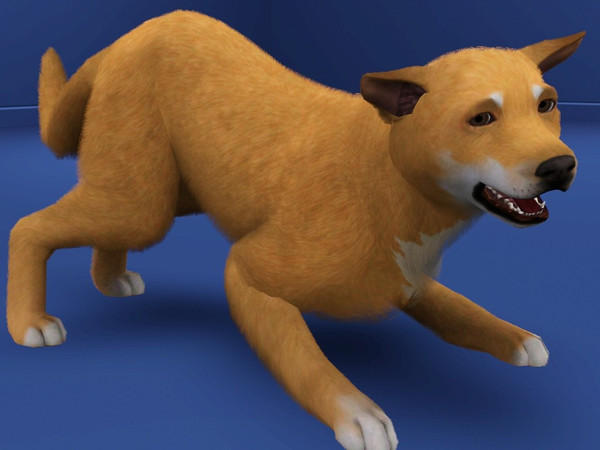 Sims 3 — Matthew by LizardDaughter — Matthew Ross :)