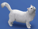 Sims 3 — Persian by LizardDaughter — White Persian Cat