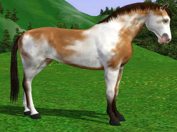 Sims 3 — Buckskin Paint  by Tazm1n2 — Created by request. Can also be found on the Exchange here
