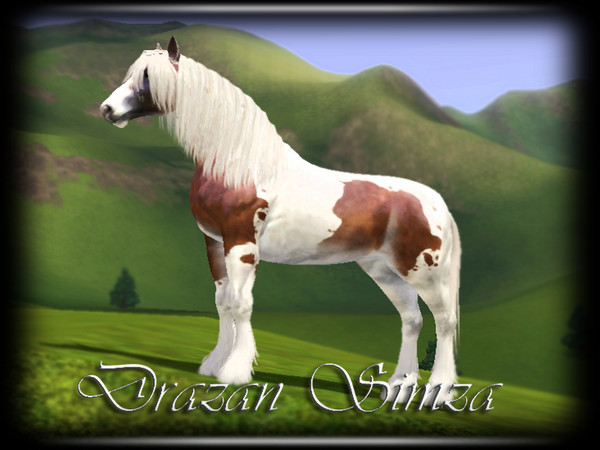 Sims 3 — Drazan Simza by annie_over — Adult Male Travellers Vanner Stallion Chestnut And White Tobiano Markings Brave