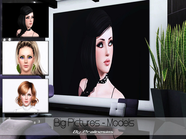 Sims 3 — Big Pictures - Models by Pralinesims — By Pralinesims