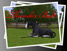 Sims 3 — thunder bolt by luckylakelady111 — Thunder Bolt is a mouse grey/soft black Trakehner stallion with 4 white legs