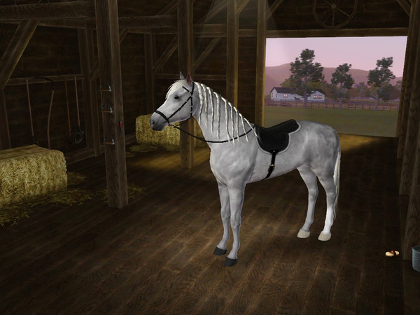 Sims 3 — Aisha by Bloody_Eve — A lovely Arab mare by me. Traits:Fast Genius Obedient No Custom Content or slider used 