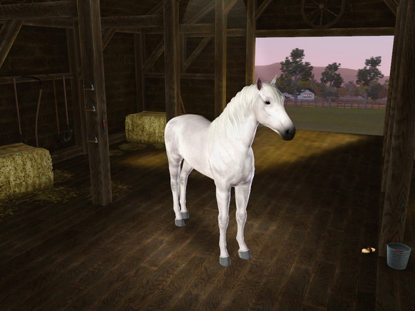 Sims 3 — Mist by Bloody_Eve — An adult stallion by me Traits:Untrained Fast Brave No Custom Content or slider used