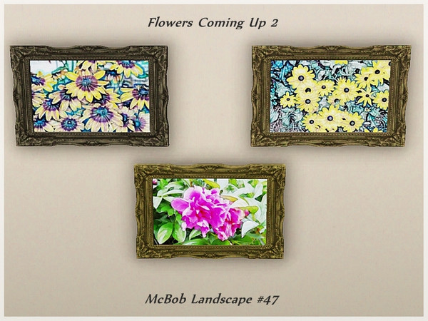 Sims 3 — Flowers Coming Up 2 by weirdling2 —  Bring a little bit of the outdoors into your home with these pictures of