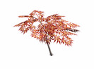 Small Japanese Maple Tree by sim_man123 - Click to view and download separately!