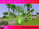 Sims 3 — Ravenala madagascariensis Set by alex_stanton1983 — The Traveler Tree is endemic of Madagascar but it is