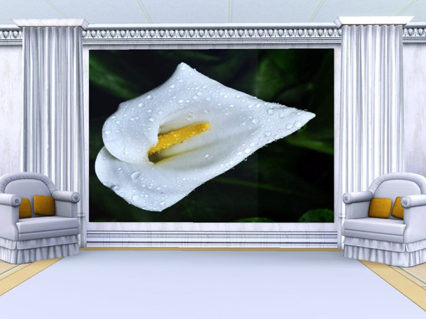 Sims 3 — Raindrops on Arum_1_whisperingsim by whisperingsim — This painting is the first of a pair of Arum Lily