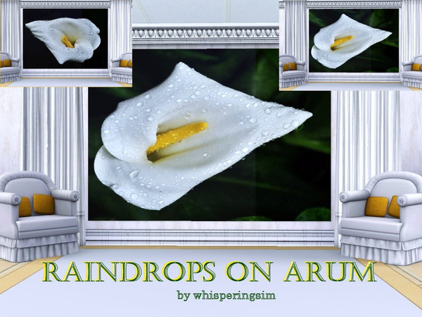 Sims 3 — Raindrops on Arum by whisperingsim — A set of two pretty paintings of Arum Lillies bejewelled with raindrops.