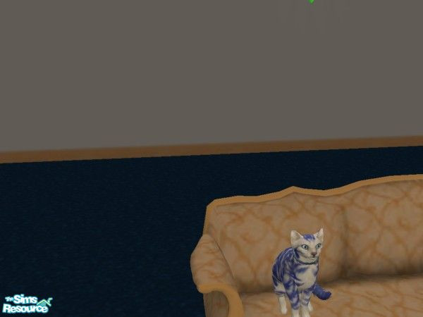 Sims 2 — Queen by hacc2258 — This kitty needs a home, and love some Sims.