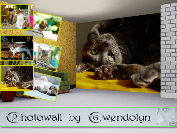 Sims 3 — GW warm cats photowall by Gvendolin2 — recolorable photowall created by Gwendolyn