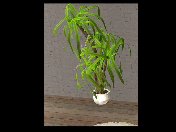 Sims 2 — Novemberlet - plant by steffor — 