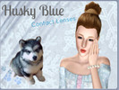 Sims 3 — HuskyBlue Contact Lenses by splash2792 — Hello everyone! This is my first upload. I've always loved husky