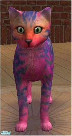 Sims 2 — Tie-Dye by melinorn — My second submission. a cat with funky genetics and great breeding. May or may not produce