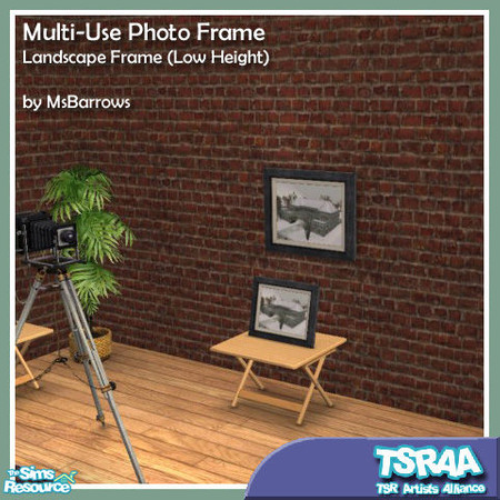Sims 2 — MU Photo Frames - Expansion 1 - Landscape (Low) by MsBarrows — Landscape-sized frame with a lower wall