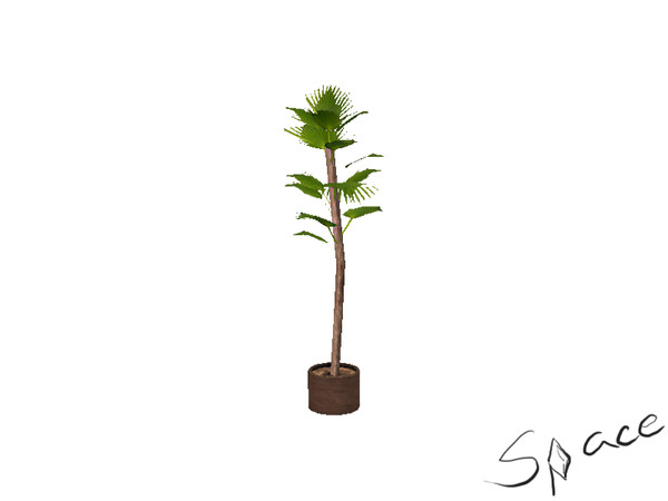 Sims 3 — Rhode kitchen - Palm by spacesims — This tall palm will be a nice decoration to any room!