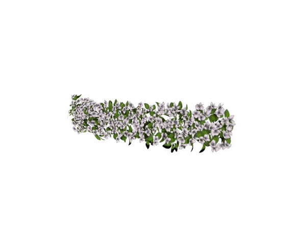 Sims 3 — Bougainvillea 11 White by Murano — Decorate the houses of your Sims with this bougainvillea flower on either