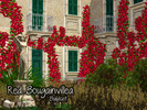 Sims 3 — Red Bougainvillea by Murano — This buildset includes 14 different bougainvillea meshes to decorate the houses of