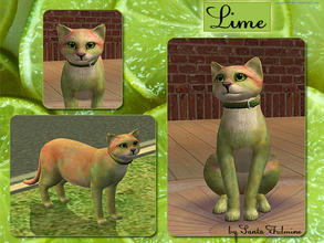 Sims 2 — Lime by Santa_Fulmine — Lime is unusual cat. He has such color because of a genetic experiments. :)