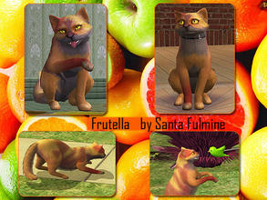 Sims 2 — Frutella by Santa_Fulmine — Just a nice cat of orange color. :)